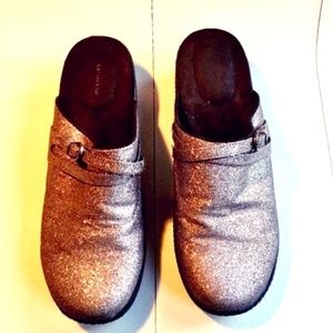 Lands' End Silver Glitter Clogs